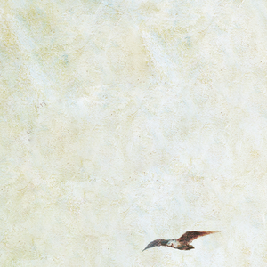 Chine老头勃起视频
