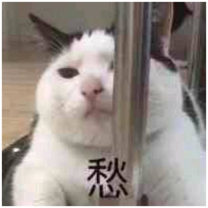 Chine老头勃起视频
