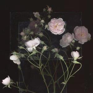 Chine老头勃起视频
